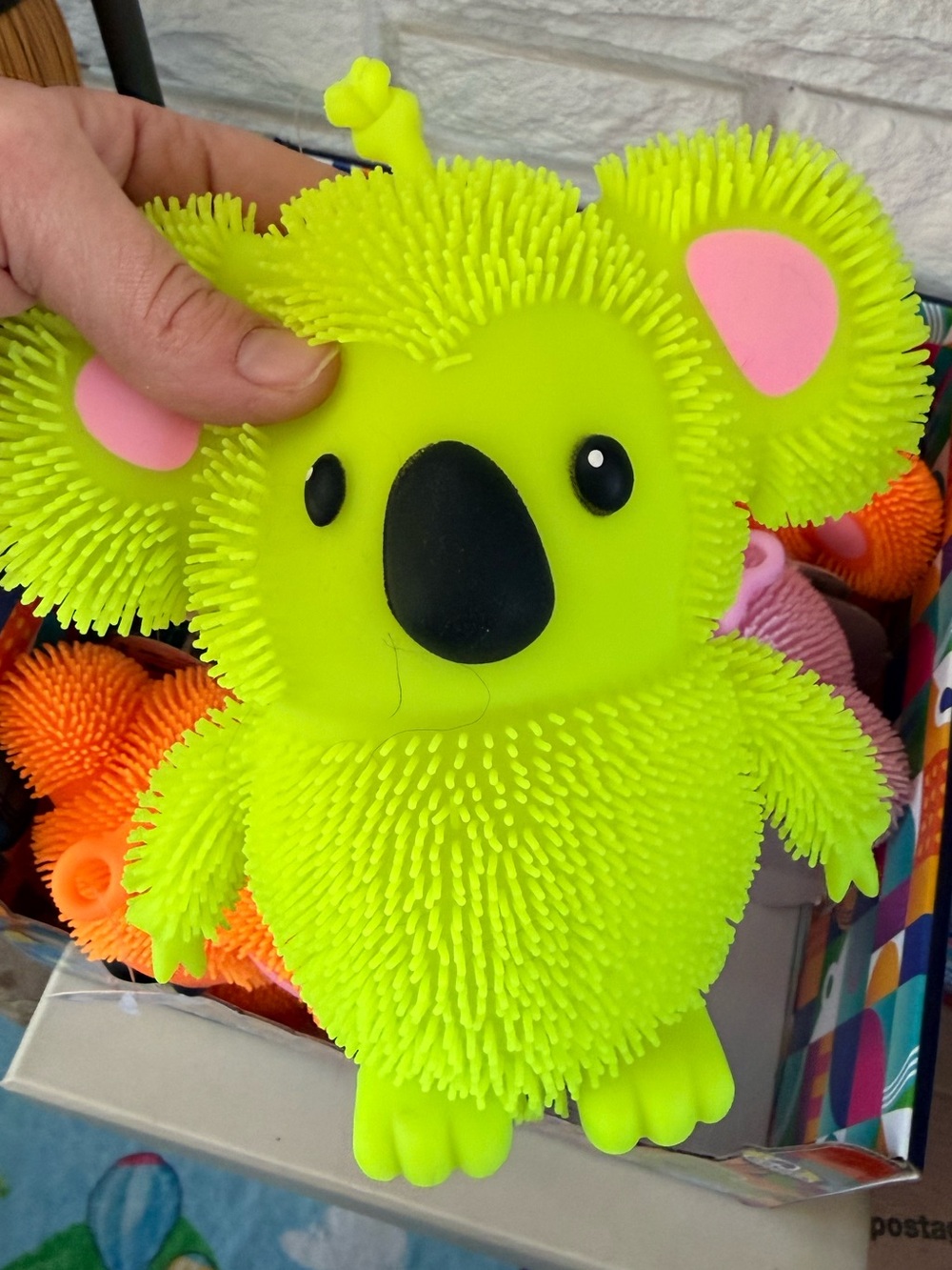Googly- JA-RU Toys-Cushy Squishy Koala-STRETCH! Viral Toys